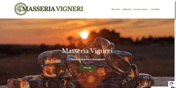 Projects | Veertualia